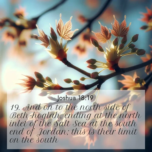 BasicEnglish Joshua  ; image nature: image with the bible verse :And on to the north side of Beth-hoglah, ending at the north inlet of the Salt Sea at the south end of Jordan; this is their limit on the south. ; Admire our free collection of Bible verse images with beautiful landscapes like sunlit forests, rippling waters, and radiant dawns. Each verse, such as KJV Joshua 18:19, is ready to download and share. Current verse is overlayed with the thematic nature scene : Spring buds burst open on maple branches against a blue sky. ; 18:19