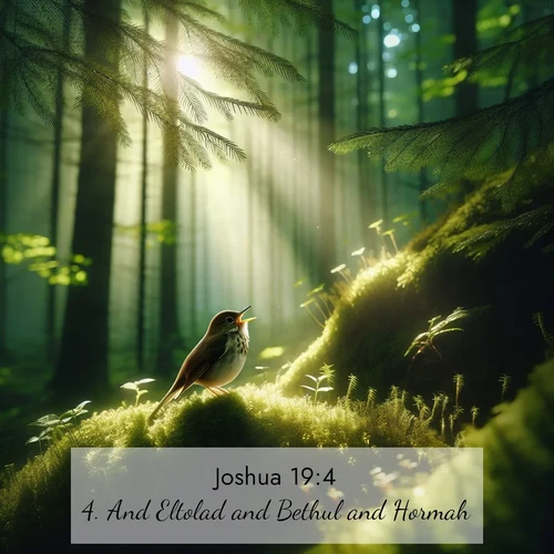 BBE Joshua 19:4 overlaying nature image scene: A hermit thrush sings from deep woods. Sunlight filters through green canopy.;4. And Eltolad and Bethul and Hormah