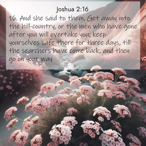 BasicEnglish Joshua  ; image nature: image with the bible verse :And she said to them, Get away into the hill-country, or the men who have gone after you will overtake you; keep yourselves safe there for three days, till the searchers have come back, and then go on your way. ; Access a vast collection of Bible verse images illustrated with natural landscapes like calm rivers, blooming fields, and bright horizons. These images emphasize the serenity and splendor of God&#039;s creation, accompanied by aesthetic fonts and joyful colors. Download verses like KJV Joshua 2:16 and share them. Current verse is overlayed with the thematic nature scene : Desert verbena blooms in hidden washes. Flash floods carved these secret gardens. ; 2:16