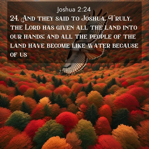 BasicEnglish Joshua  ; image nature: image with the bible verse :And they said to Joshua, Truly, the Lord has given all the land into our hands; and all the people of the land have become like water because of us. ; Dive into a gallery of Bible verses illustrated by tropical beach scenes, featuring sparkling waves, seashells, and radiant sunrises. These images evoke divine peace and joy. Download and share inspiring verses like KJV Joshua 2:24. Current verse is overlayed with the thematic nature scene : A red-tailed hawk circles above autumn woods. Leaves below form a mosaic of fire. ; 2:24