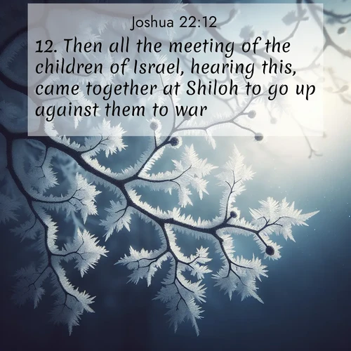 BasicEnglish Joshua  ; image nature: image with the bible verse :Then all the meeting of the children of Israel, hearing this, came together at Shiloh to go up against them to war. ; Discover a unique collection of Bible verses adorned with winter landscapes, such as snow-covered forests, gently falling snowflakes, and pristine mountains. These images evoke the peace and purity of God&#039;s creation. Share verses like KJV Joshua 22:12. Current verse is overlayed with the thematic nature scene : Winter frost coats bare branches in delicate crystal. ; 22:12