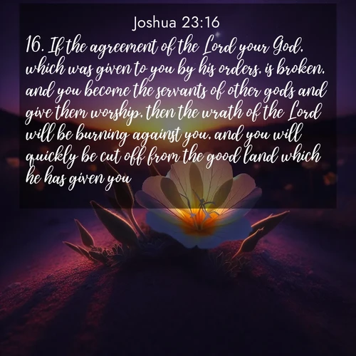 BasicEnglish Joshua  ; image nature: image with the bible verse :If the agreement of the Lord your God, which was given to you by his orders, is broken, and you become the servants of other gods and give them worship, then the wrath of the Lord will be burning against you, and you will quickly be cut off from the good land which he has given you. ; Explore an inspiring selection of Bible verse images adorned with nature photos, such as starry skies, verdant hills, and golden beaches. Each image reflects the peace and beauty of God&#039;s creation with vibrant colors and varied fonts. Share uplifting verses like KJV Joshua 23:16. Current verse is overlayed with the thematic nature scene : Desert evening primrose opens to the setting sun. Stars emerge in the deepening purple sky. ; 23:16