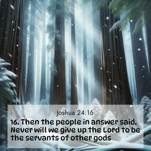 BasicEnglish Joshua  ; image nature: image with the bible verse :Then the people in answer said, Never will we give up the Lord to be the servants of other gods; ; Admire Bible images representing autumn, with swirling leaves, misty skies, and vibrant trees. These images inspire profound spiritual reflection. Download and share verses like KJV Joshua 24:16. Current verse is overlayed with the thematic nature scene : Snow falls silently on ancient redwoods. Shafts of light pierce through to illuminate the forest floor. ; 24:16
