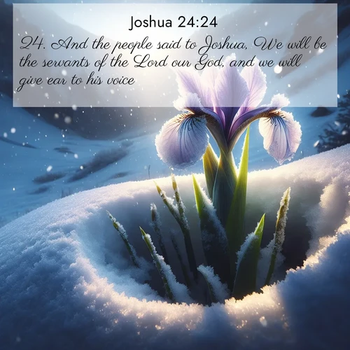 BasicEnglish Joshua  ; image nature: image with the bible verse :And the people said to Joshua, We will be the servants of the Lord our God, and we will give ear to his voice. ; Explore winter-themed Bible verse images illustrated by snowy mountains, frost-covered branches, and clear skies. These landscapes reflect divine purity and peace. Download verses like KJV Joshua 24:24. Current verse is overlayed with the thematic nature scene : Wild iris breaks through spring snow. Alpine light ignites petals. ; 24:24