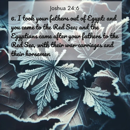 BasicEnglish Joshua  ; image nature: image with the bible verse :I took your fathers out of Egypt: and you came to the Red Sea; and the Egyptians came after your fathers to the Red Sea, with their war-carriages and their horsemen. ; Admire our free collection of Bible verse images with beautiful landscapes like sunlit forests, rippling waters, and radiant dawns. Each verse, such as KJV Joshua 24:6, is ready to download and share. Current verse is overlayed with the thematic nature scene : Winter frost creates delicate patterns on fallen leaves. ; 24:6