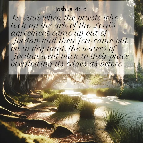 BBE Joshua 4:18 overlaying nature image scene: Summer afternoon light filters through Spanish moss in a bayou.;18. And when the priests who took up the ark of the Lord's agreement came up out of Jordan and their feet came out on to dry land, the waters of Jordan went back to their place, overflowing its edges as before.