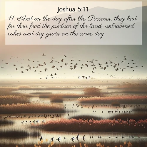 BasicEnglish Joshua  ; image nature: image with the bible verse :And on the day after the Passover, they had for their food the produce of the land, unleavened cakes and dry grain on the same day. ; Discover Bible images capturing the essence of autumn, with wooded paths, golden fields, and swirling leaves. These scenes reflect the changing beauty of God&#039;s creation. Download verses like KJV Joshua 5:11. Current verse is overlayed with the thematic nature scene : Spring migration fills marshlands with calling birds. ; 5:11