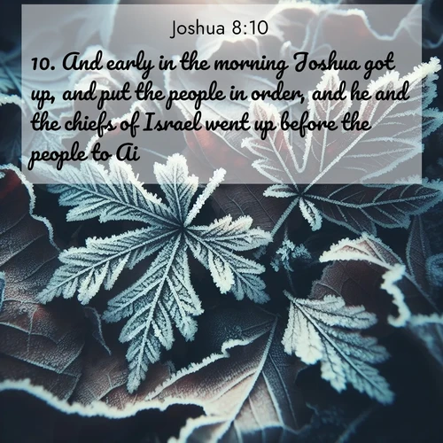 BBE Joshua 8:10 overlaying nature image scene: Winter frost creates delicate patterns on fallen leaves.;10. And early in the morning Joshua got up, and put the people in order, and he and the chiefs of Israel went up before the people to Ai.
