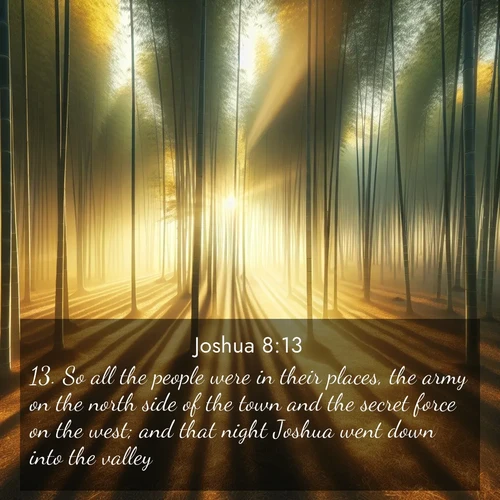 BBE Joshua 8:13 overlaying nature image scene: Morning mist parts to reveal a pristine bamboo grove. Golden light filters through the stems, casting striped shadows.;13. So all the people were in their places, the army on the north side of the town and the secret force on the west; and that night Joshua went down into the valley.