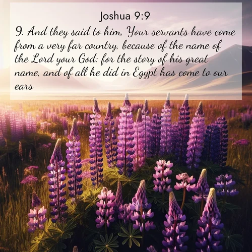 BasicEnglish Joshua  ; image nature: image with the bible verse :And they said to him, Your servants have come from a very far country, because of the name of the Lord your God: for the story of his great name, and of all he did in Egypt has come to our ears, ; Download Bible verse images paired with breathtaking nature photos like golden deserts, shimmering seas, and blossoming orchards. These high-quality, free images are perfect for wallpapers or sharing. Verses include KJV Joshua 9:9. Current verse is overlayed with the thematic nature scene : Wild lupines paint purple meadows. Snow lingers on distant peaks. ; 9:9