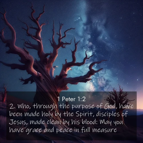 BBE 60 1:2