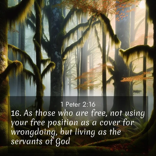 BBE 1 Peter 2:16 overlaying nature image scene: Autumn fog shrouds an old-growth forest draped in moss and lichen.;16. As those who are free, not using your free position as a cover for wrongdoing, but living as the servants of God;