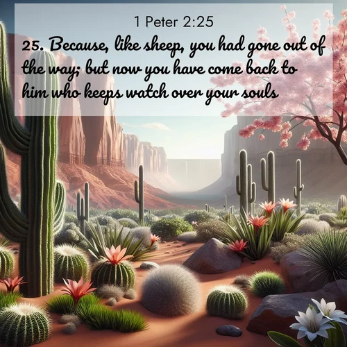 BBE 1 Peter 2:25 overlaying nature image scene: Desert cacti burst with spring blooms against red sandstone formations.;25. Because, like sheep, you had gone out of the way; but now you have come back to him who keeps watch over your souls.