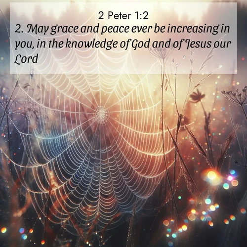 BBE 61 1:2