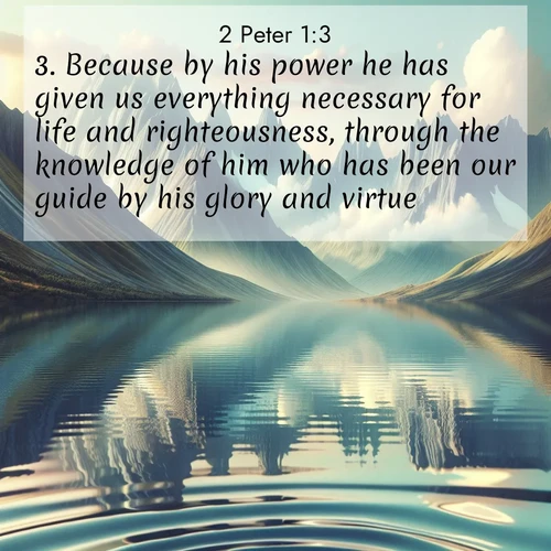 BBE 61 1:3