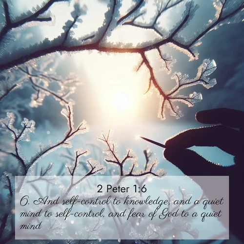 BasicEnglish 2 Peter  ; image nature: image with the bible verse :And self-control to knowledge, and a quiet mind to self-control, and fear of God to a quiet mind, ; Download Bible verse images featuring vibrant photos of nature, from snowy landscapes to golden deserts. These free images are perfect for phone wallpapers, desktop backgrounds, or sharing. Verses include KJV 2 Peter 1:6. Current verse is overlayed with the thematic nature scene : Winter sunrise glows through ice-coated branches. ; 1:6