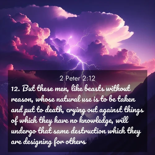 BBE 2 Peter 2:12 overlaying nature image scene: Jagged lightning splits purple storm clouds. Thunder echoes through mountain canyons.;12. But these men, like beasts without reason, whose natural use is to be taken and put to death, crying out against things of which they have no knowledge, will undergo that same destruction which they are designing for others;