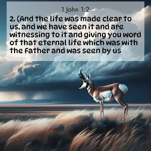 BBE 62 1:2