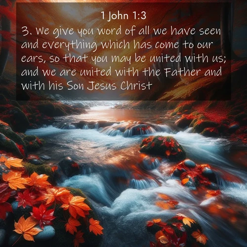 BBE 62 1:3