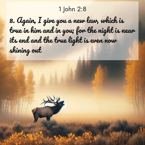 BasicEnglish 1 John  ; image nature: image with the bible verse :Again, I give you a new law, which is true in him and in you; for the night is near its end and the true light is even now shining out. ; Discover Bible images adorned with spring landscapes, like tulip fields, cherry blossoms, and green hills. These bright scenes symbolize God&#039;s renewal and grace. Download verses like KJV 1 John 2:8. Current verse is overlayed with the thematic nature scene : A bull elk bugles across a misty valley. Aspen leaves quake golden in response. ; 2:8