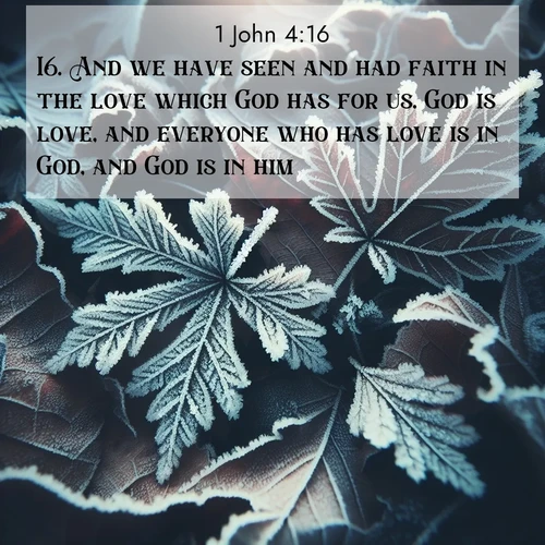 BBE 1 John 4:16 overlaying nature image scene: Winter frost creates delicate patterns on fallen leaves.;16. And we have seen and had faith in the love which God has for us. God is love, and everyone who has love is in God, and God is in him.