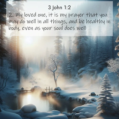 BBE 64 1:2