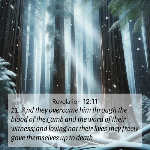 BasicEnglish Book of Revelation  ; image nature: image with the bible verse :And they overcame him through the blood of the Lamb and the word of their witness; and loving not their lives they freely gave themselves up to death. ; Discover Bible verses beautifully integrated with natural scenes of varied seasons, featuring summer skies, winter snow, autumn leaves, and spring blooms. Each image captures the splendor and peace of God&#039;s creation. Share verses like KJV Book of Revelation 12:11. Current verse is overlayed with the thematic nature scene : Snow falls silently on ancient redwoods. Shafts of light pierce through to illuminate the forest floor. ; 12:11