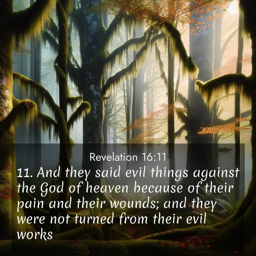 BasicEnglish Book of Revelation  ; image nature: image with the bible verse :And they said evil things against the God of heaven because of their pain and their wounds; and they were not turned from their evil works. ; Discover our unique collection of Bible verse images integrated with photos showcasing the majesty of nature, such as rocky mountains, ancient trees, and crystal-clear lakes. These images feature luminous colors and text in varied fonts, reflecting the harmony of God&#039;s creation. Download verses like KJV Book of Revelation 16:11. Current verse is overlayed with the thematic nature scene : Autumn fog shrouds an old-growth forest draped in moss and lichen. ; 16:11