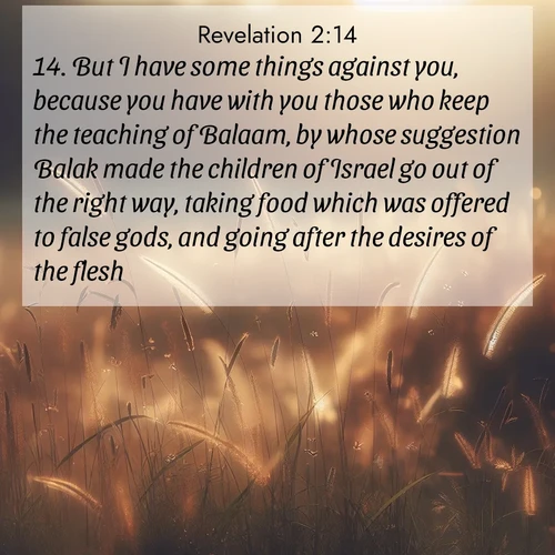 BBE Book of Revelation 2:14 overlaying nature image scene: Summer heat brings out cricket songs in meadow grass.;14. But I have some things against you, because you have with you those who keep the teaching of Balaam, by whose suggestion Balak made the children of Israel go out of the right way, taking food which was offered to false gods, and going after the desires of the flesh.