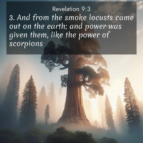 BBE 66 9:3