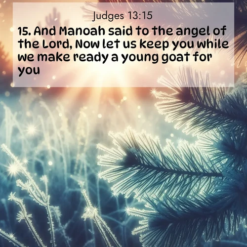 BBE Judges 13:15 overlaying nature image scene: Morning frost rimes every needle. Weak sun struggles through branches.;15. And Manoah said to the angel of the Lord, Now let us keep you while we make ready a young goat for you.