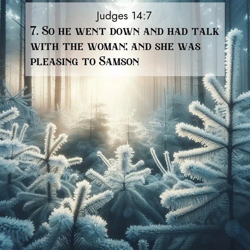 BBE Judges 14:7 overlaying nature image scene: Morning frost rimes every pine needle. Weak winter sun struggles to pierce the forest.;7. So he went down and had talk with the woman; and she was pleasing to Samson.