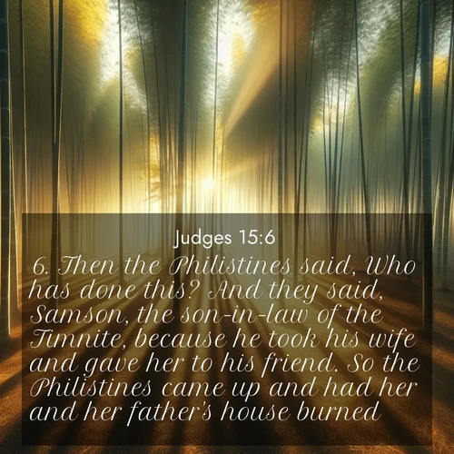 BBE Judges 15:6 overlaying nature image scene: Morning mist parts to reveal a pristine bamboo grove. Golden light filters through the stems, casting striped shadows.;6. Then the Philistines said, Who has done this? And they said, Samson, the son-in-law of the Timnite, because he took his wife and gave her to his friend. So the Philistines came up and had her and her father's house burned.