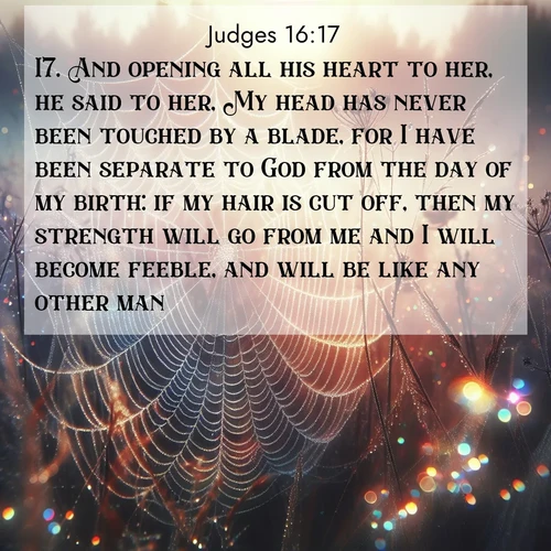 BBE Judges 16:17 overlaying nature image scene: Morning fog reveals spider web galaxies. Dew drops catch rainbow light.;17. And opening all his heart to her, he said to her, My head has never been touched by a blade, for I have been separate to God from the day of my birth: if my hair is cut off, then my strength will go from me and I will become feeble, and will be like any other man.
