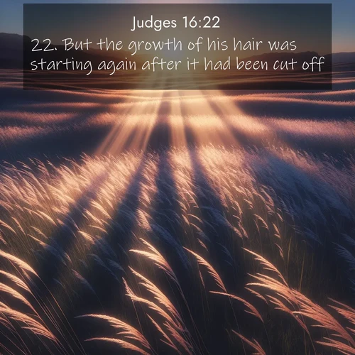 BBE Judges 16:22 overlaying nature image scene: Summer breeze ripples through fields of prairie grass.;22. But the growth of his hair was starting again after it had been cut off.
