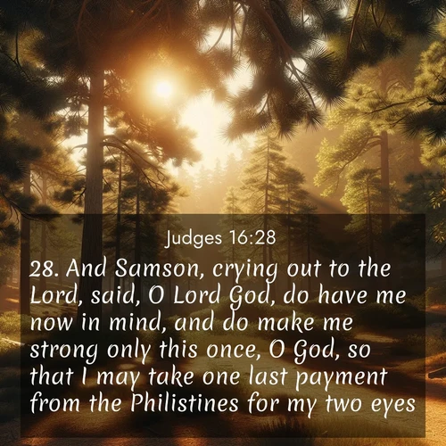 BBE Judges 16:28 overlaying nature image scene: Summer heat brings out the scent of pine needles.;28. And Samson, crying out to the Lord, said, O Lord God, do have me now in mind, and do make me strong only this once, O God, so that I may take one last payment from the Philistines for my two eyes.

