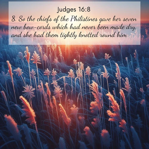 BBE Judges 16:8 overlaying nature image scene: Winter sunrise illuminates frost-covered prairie grass.;8. So the chiefs of the Philistines gave her seven new bow-cords which had never been made dry, and she had them tightly knotted round him.