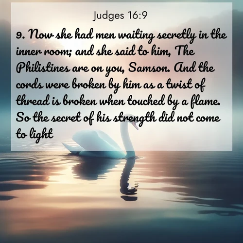 BBE Judges 16:9 overlaying nature image scene: A single swan glides across a misty lake. Dawn paints the water in pastels.;9. Now she had men waiting secretly in the inner room; and she said to him, The Philistines are on you, Samson. And the cords were broken by him as a twist of thread is broken when touched by a flame. So the secret of his strength did not come to light.
