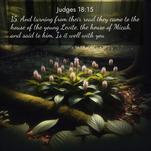 BBE Judges 18:15 overlaying nature image scene: Wild ginger blooms hidden in forest shadows. Filtered sunlight reveals their secret beauty.;15. And turning from their road they came to the house of the young Levite, the house of Micah, and said to him, Is it well with you?