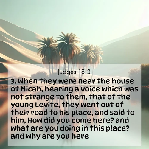 BBE 7 18:3