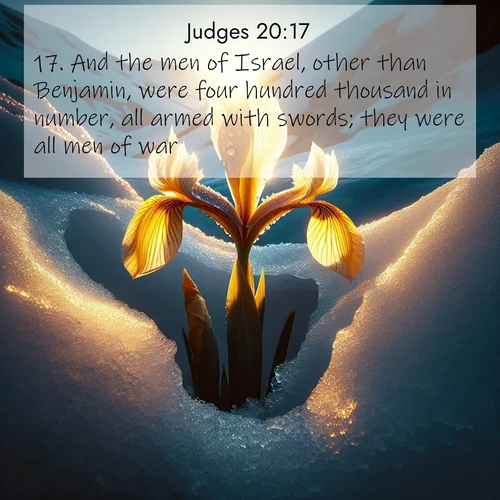 BasicEnglish Judges  ; image nature: image with the bible verse :And the men of Israel, other than Benjamin, were four hundred thousand in number, all armed with swords; they were all men of war. ; Browse an inspiring gallery of Bible verse images with nature photos, such as blooming gardens, golden deserts, and shaded forests. The chosen images capture the peaceful and joyful essence of God&#039;s creation, with vibrant colors and harmonious fonts. Share verses like KJV Judges 20:17. Current verse is overlayed with the thematic nature scene : Wild iris breaks through melting snow. Alpine light ignites its petals. ; 20:17