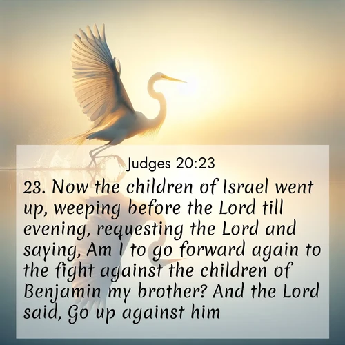 BasicEnglish Judges  ; image nature: image with the bible verse :Now the children of Israel went up, weeping before the Lord till evening, requesting the Lord and saying, Am I to go forward again to the fight against the children of Benjamin my brother? And the Lord said, Go up against him. ; Explore a unique collection of Bible verses illustrated by winter landscapes, such as snowy mountains, frosty forests, and starry skies. These images capture the peace and beauty of winter. Share verses like KJV Judges 20:23. Current verse is overlayed with the thematic nature scene : A great egret lifts from mirror-still water. Sunrise sets its wings ablaze. ; 20:23