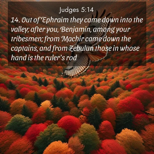 BBE Judges 5:14 overlaying nature image scene: A red-tailed hawk circles above autumn woods. Leaves below form a mosaic of fire.;14. Out of Ephraim they came down into the valley; after you, Benjamin, among your tribesmen; from Machir came down the captains, and from Zebulun those in whose hand is the ruler's rod.