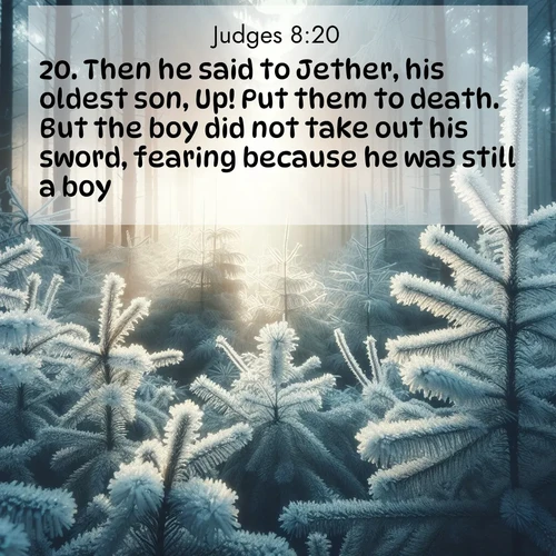 BBE Judges 8:20 overlaying nature image scene: Morning frost rimes every pine needle. Weak winter sun struggles to pierce the forest.;20. Then he said to Jether, his oldest son, Up! Put them to death. But the boy did not take out his sword, fearing because he was still a boy.