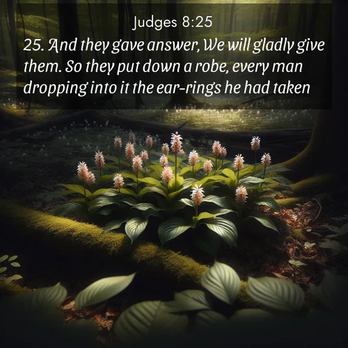 BBE Judges 8:25 overlaying nature image scene: Wild ginger blooms hidden in forest shadows. Filtered sunlight reveals their secret beauty.;25. And they gave answer, We will gladly give them. So they put down a robe, every man dropping into it the ear-rings he had taken.