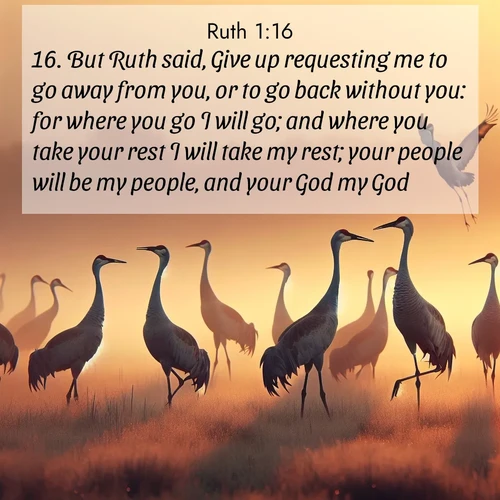 BasicEnglish Ruth  ; image nature: image with the bible verse :But Ruth said, Give up requesting me to go away from you, or to go back without you: for where you go I will go; and where you take your rest I will take my rest; your people will be my people, and your God my God. ; Explore a gallery of beautiful Bible verse images with tranquil natural settings—perfect for phone backgrounds or inspirational posts. Download your favorite verses like KJV Ruth 1:16 today. Current verse is overlayed with the thematic nature scene : Sandhill cranes dance in morning mist. Their calls echo across the marsh. ; 1:16