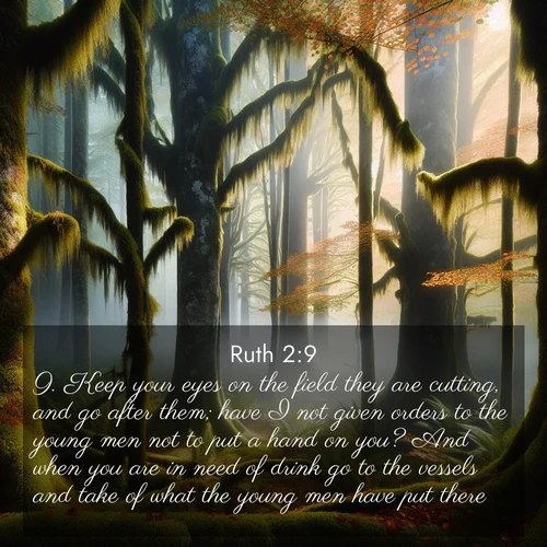 BasicEnglish Ruth  ; image nature: image with the bible verse :Keep your eyes on the field they are cutting, and go after them; have I not given orders to the young men not to put a hand on you? And when you are in need of drink go to the vessels and take of what the young men have put there. ; Discover a unique collection of Bible verses adorned with winter landscapes, such as snow-covered forests, gently falling snowflakes, and pristine mountains. These images evoke the peace and purity of God&#039;s creation. Share verses like KJV Ruth 2:9. Current verse is overlayed with the thematic nature scene : Autumn fog shrouds an old-growth forest draped in moss and lichen. ; 2:9