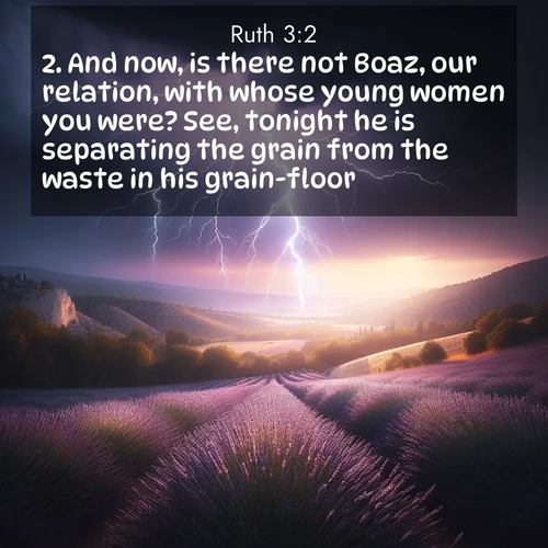 BBE 8 3:2