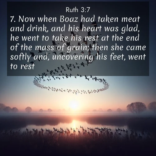BBE Ruth 3:7 overlaying nature image scene: Wild geese arrow through dawn sky. Their calls wake sleeping marshes.;7. Now when Boaz had taken meat and drink, and his heart was glad, he went to take his rest at the end of the mass of grain; then she came softly and, uncovering his feet, went to rest.