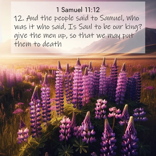 BBE 1 Samuel 11:12 overlaying nature image scene: Wild lupines paint purple meadows. Snow lingers on distant peaks.;12. And the people said to Samuel, Who was it who said, Is Saul to be our king? give the men up, so that we may put them to death.
